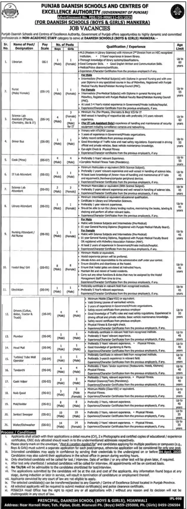 Punjab Daanish Schools Mianwali Jobs 2025 Application Form Advertisement