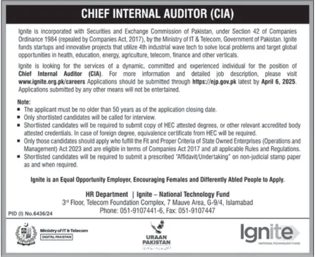 Chief Internal Auditor Jobs 2025 Advertisement