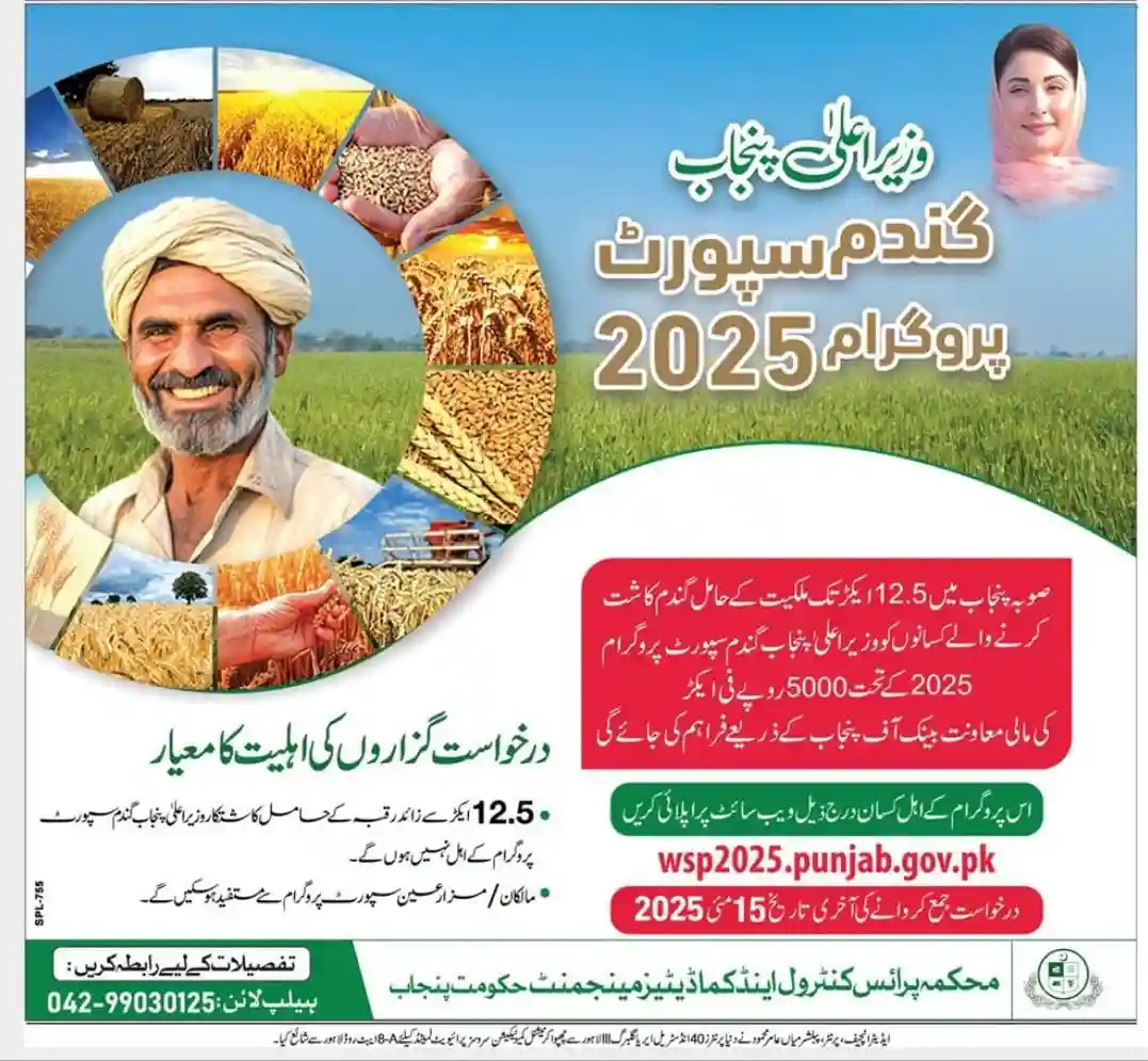 Punjab Wheat Support Program 2025 Advertisement